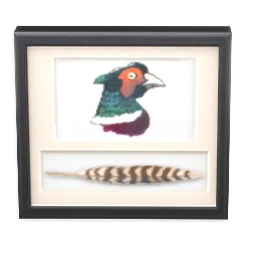 A screenshot from The Sims 4 with a black frame. Inside the frame is a picture of a pheasant with its feather underneath
