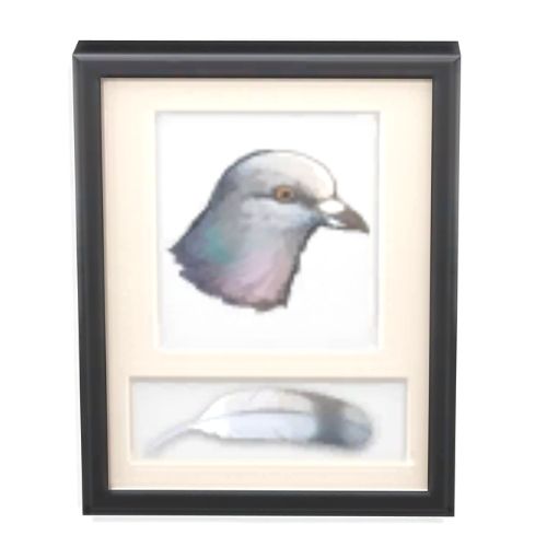 A screenshot from The Sims 4 with a black frame. Inside the frame is a picture of a pigeon with a feather underneath