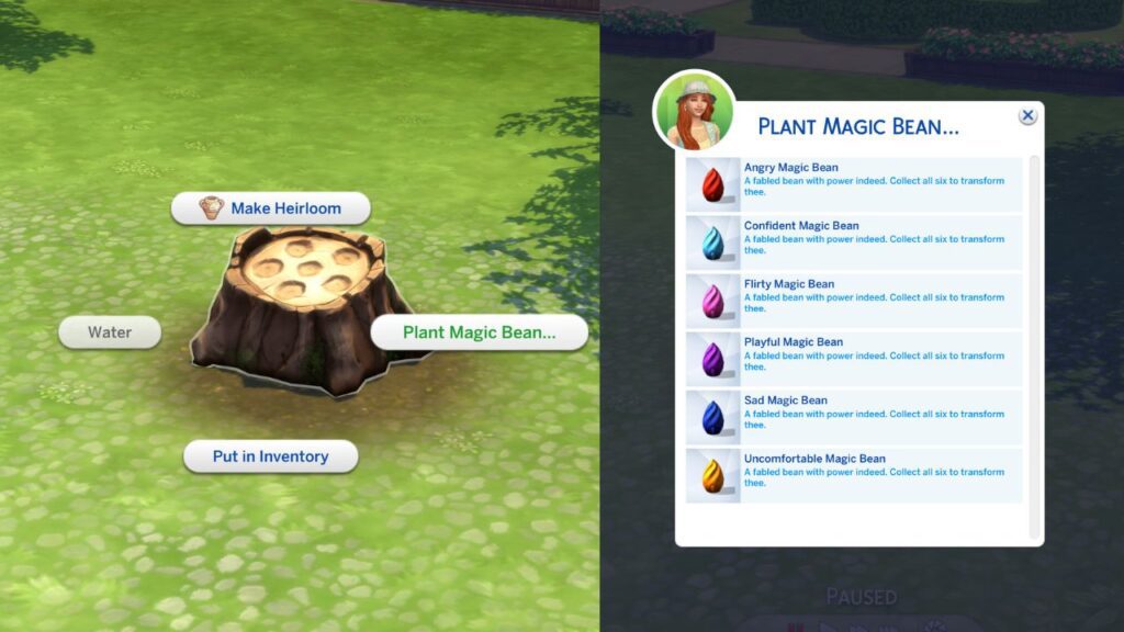A screenshot from The Sims 4 showing how to plant magic beans