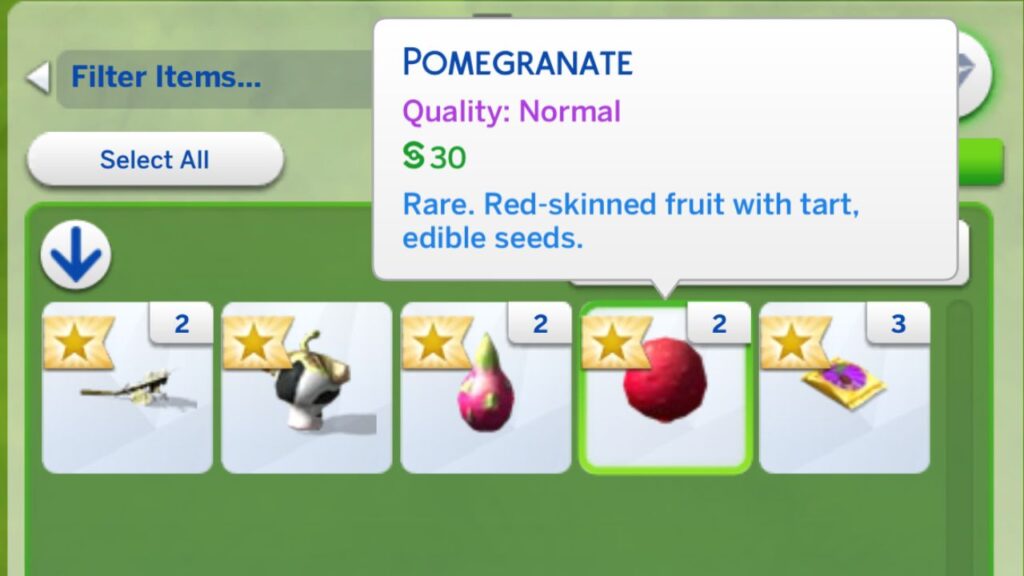 A screenshot from The Sims 4 showing a pomegranate in a sim's inventory from a rare seed packet