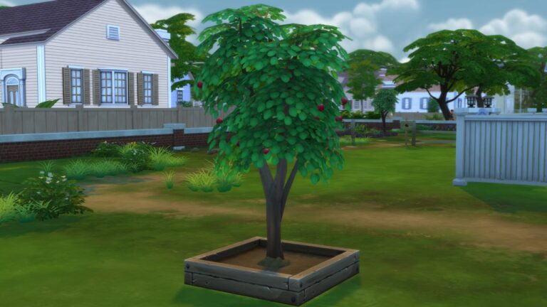 A screenshot from The Sims 4 showing a pomegranate tree