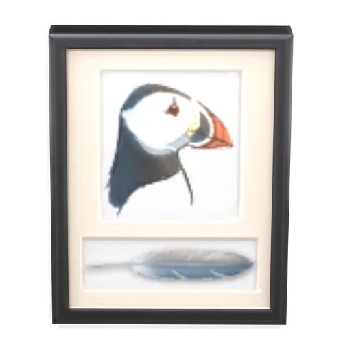 A screenshot from The Sims 4 with a black frame. Inside the frame is a picture of a puffin with its feather underneath
