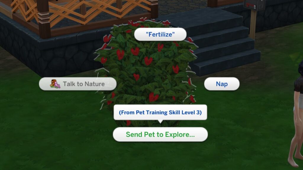 A screenshot from The Sims 4 showing the option to send a pet to explore a woohoo bush