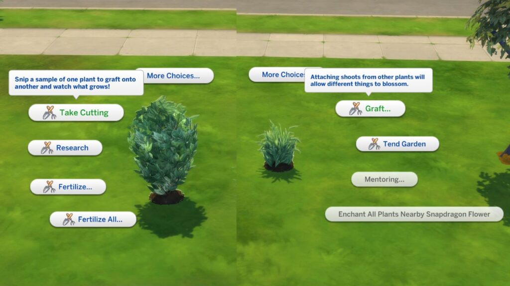 A screenshot from The Sims 4 showing how to graft a strawberry and snapdragon to make a dragonfruit