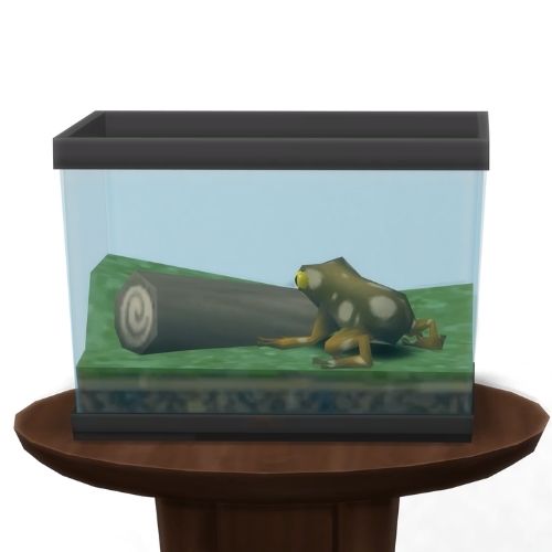 A screenshot from The Sims 4 showing a circle table with a terrarium on top and a spotted dirt frog inside