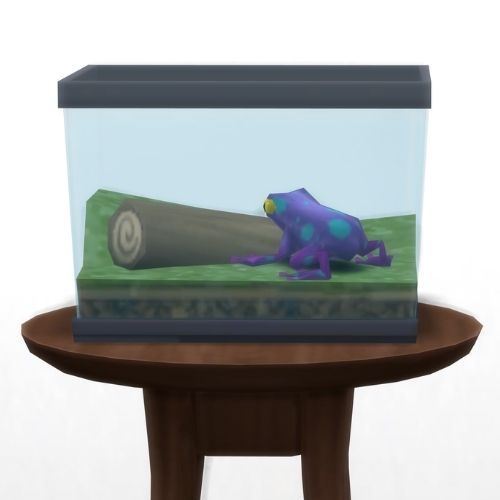 A screenshot from The Sims 4 showing a circle table with a terrarium on top and a spotted eggplant frog