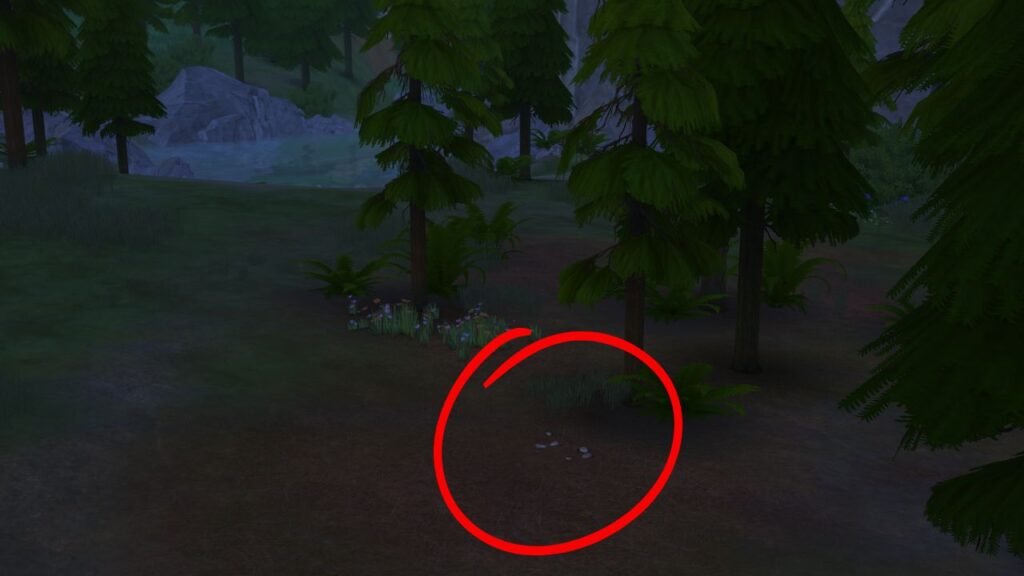A screenshot from The Sims 4 showing a forest at night with some stink bugs circled