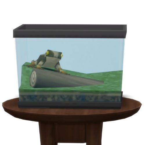 A screenshot from The Sims 4 showing a circle table with a terrarium on top and a striped dirt frog
