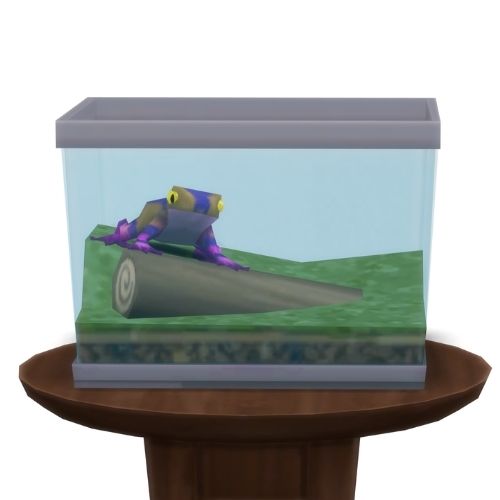 A screenshot from The Sims 4 showing a circle table with a terrarium on top and a striped eggplant frog inside