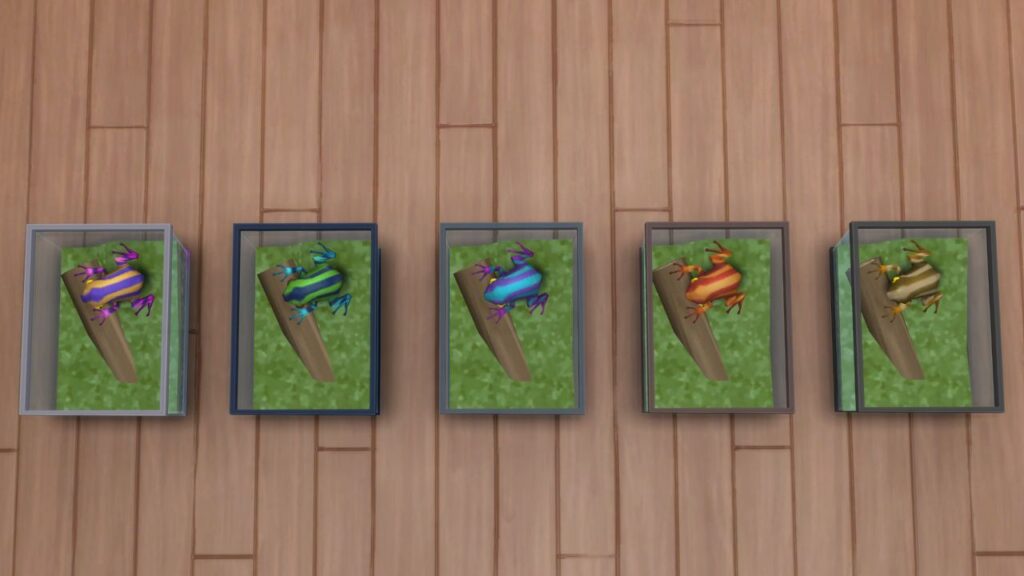 A screenshot from The Sims 4 showing a wood floor with five striped frogs inside terrariums inside 