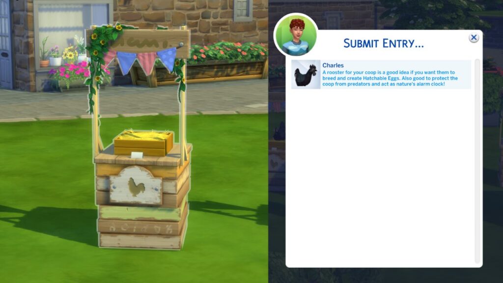 A screenshot from The Sims 4 showing how to enter a chicken in a competition at the fair