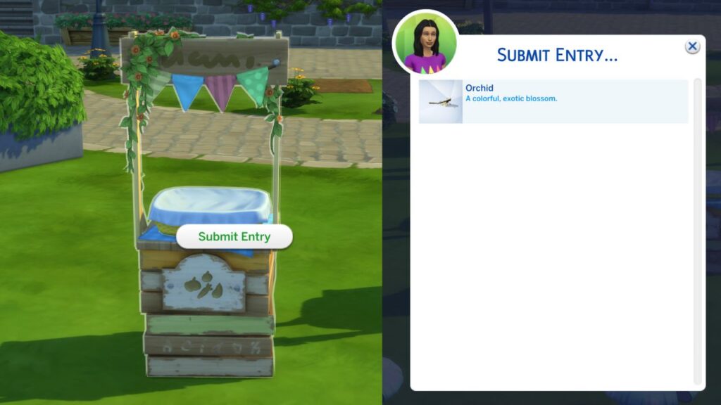 A screenshot from The Sims 4 showing how to enter the garden fair 