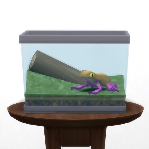 A screenshot from The Sims 4 showing a circle table with a terrarium on top and a sunflower frog inside
