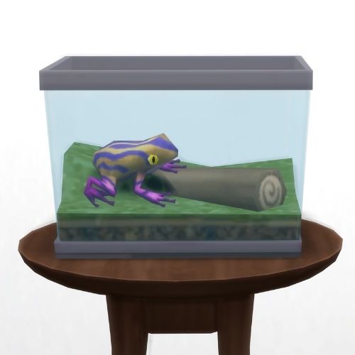 A screenshot from The Sims 4 showing a circle table with a terrarium on top and a sunsurfer frog inside