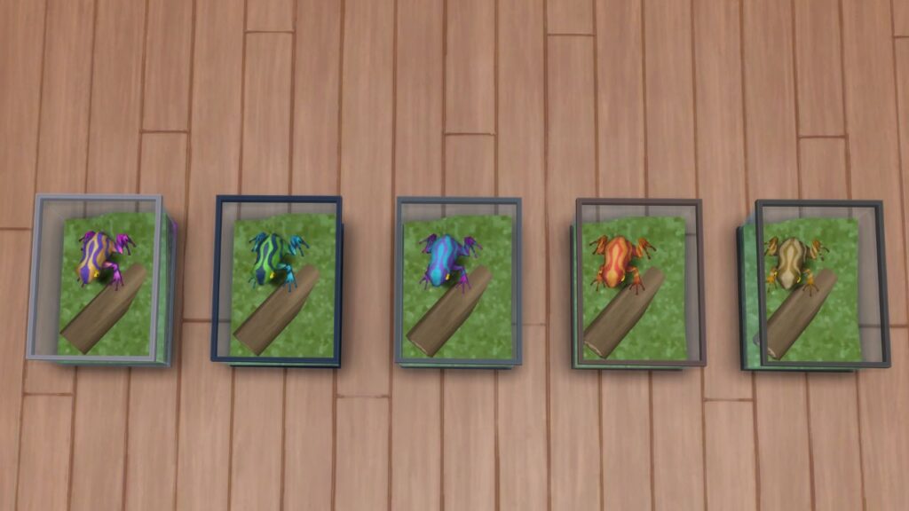 A screenshot from The Sims 4 showing a wood floor with five surfer frogs inside terrariums on top 
