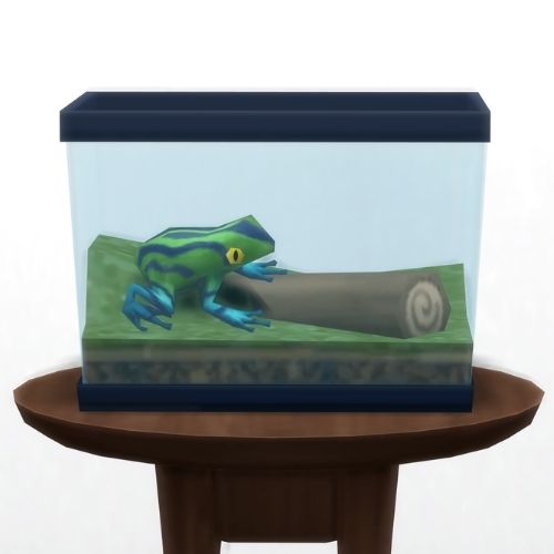 A screenshot from The Sims 4 showing a circle table with a terrarium on top and a surfer leaf frog