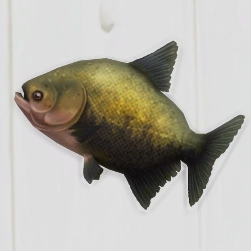 A screenshot from The Sims 4 showing a white floor with a tambaqui fish