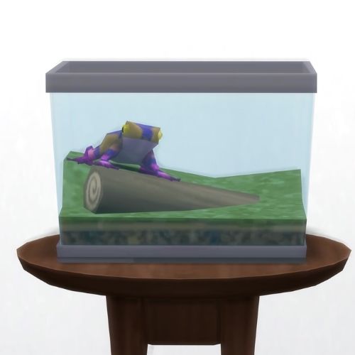 A screenshot from The Sims 4 showing a circle table with a terrarium on top and a tiger frog inside