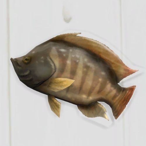 A screenshot from The Sims 4 showing a white floor with a tilapia