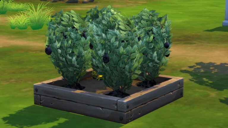A screenshot from The Sims 4 showing four trash fruit in a garden planter