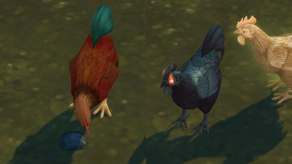A screenshot from The Sims 4 showing a chicken eating a midnight treat and then becoming an evil chicken
