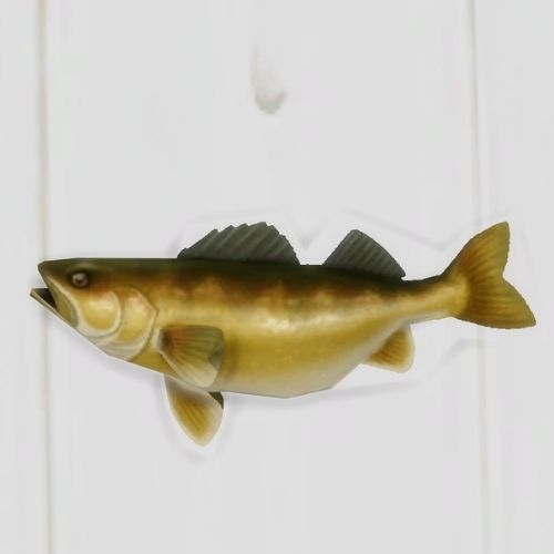 A screenshot from The Sims 4 showing a white floor with a walleye fish