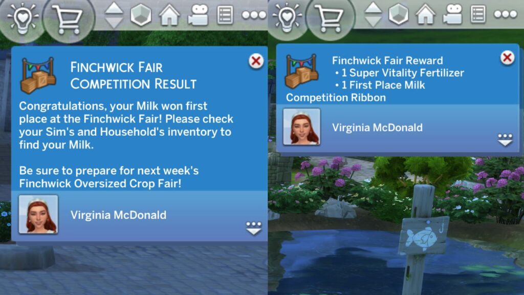 A screenshot from The Sims 4 showing the notifications for winning the milk competition 