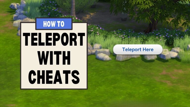This image has a set of boxes on the left with text that read "how to teleport with cheats" and beside that is a button that says teleport here